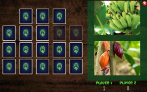 All Vegetals Pairs Memory Game screenshot 15