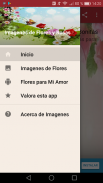 Imagenes de Flores y Rosas screenshot 0