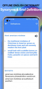 Advanced Dictionary of English screenshot 6