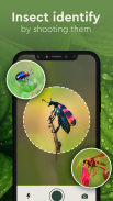 Plant Identifier, Insect ID screenshot 2