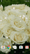 White Rose Live Wallpaper HD screenshot 2