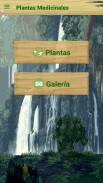Plantas Medicinales screenshot 1
