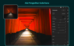 Adobe Lightroom - Editor Foto screenshot 1