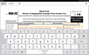 PDF Form 990 EZ for IRS: Sign Tax Digital eForm screenshot 2