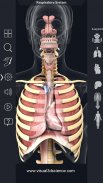 Respiratory System Anatomy Pro. screenshot 12