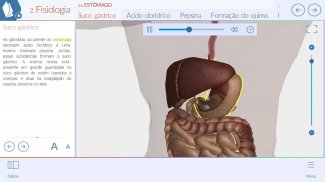Sistemas do Corpo Humano 3D screenshot 2