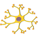 Backpropagation