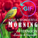 Good Morning Night Gif Wishes Icon