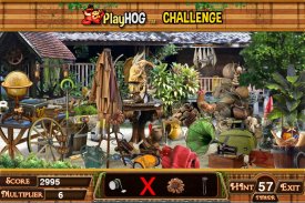 Challenge #185 Cottage in the Woods Hidden Objects screenshot 2