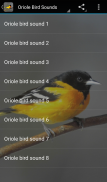 Oriole Bird Sounds screenshot 0