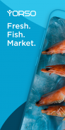 YORSO Fish B2B – buy wholesale screenshot 4