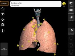 Anatomy 3D Atlas screenshot 11