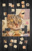 Cute Cats Jigsaw Puzzle screenshot 2