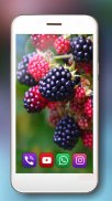 Berries Summer Live Wallpaper screenshot 3