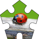 Puzzle Bugs Icon