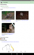 Australian Mammals screenshot 3