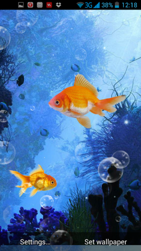 Gold Fish Live Wallpaper 2 6 Download Android Apk Aptoide Images, Photos, Reviews