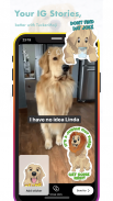 TuckerMoji - Golden Dog Stickers by Tucker Budzyn screenshot 6