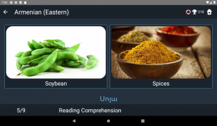 Armenian Language Tests screenshot 2