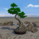 Bonsai 3D Live Wallpaper icon