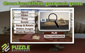 Free Fossil Puzzle Games screenshot 0