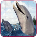 Real Dolphins Game : Jigsaw Puzzle 2019 Icon