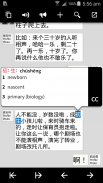 Pleco Chinese Dictionary screenshot 3