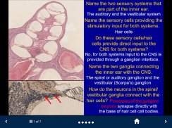 Neuroanatomy - SecondLook screenshot 3