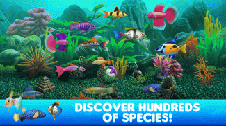 Fish Tycoon 2 Virtual Aquarium (Unreleased) screenshot 3