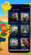 Hen Sound - Chicken Sounds - Rooster Sound screenshot 0