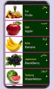 Learn Urdu From English screenshot 13