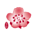 China Airlines App Icon