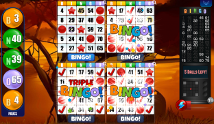 Bingo - Free Bingo Games screenshot 0