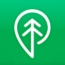 Treebal Icon