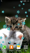Sweet Kittens Live Wallpapers screenshot 1
