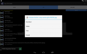 Fay FTP Client screenshot 13