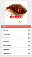 Bedbugs Disease screenshot 2