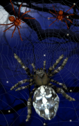 Spider, live wallpaper screenshot 5