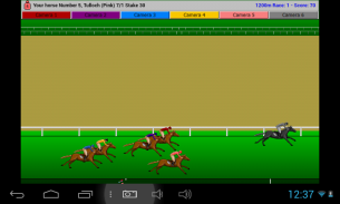 Flat Race Horse Racing screenshot 1