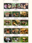 Shroomify - Mushroom Identific screenshot 0