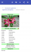 Plantes nuisibles screenshot 5