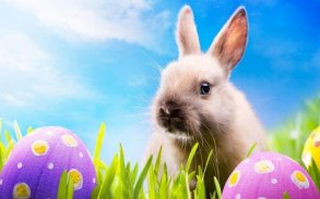 Bunny and Eggs Jigsaw Puzzle screenshot 0