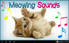 Γατας Ηχοι Κλησης - Ήχους Γάτα screenshot 0