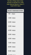Every Step Counts - Pocket Pedometer screenshot 3