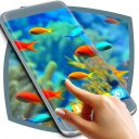 Fish Live Wallpaper Free