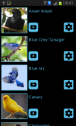 Bird Sounds & Ringtones screenshot 0