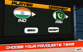 Cricket Superstar League 3D screenshot 3