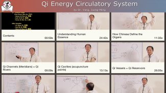 Qi Energy Video Lesson screenshot 3
