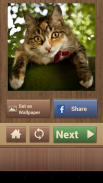 Cat Jigsaw Puzzles screenshot 6