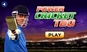 Power Cricket T20 League 2015 screenshot 0